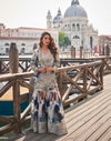 Elnaaz By Sayuri Chinon Silk Designer Indo Western Wholesale Shop In Surat
